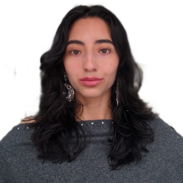 Paula Valentina Alvarez Chaparro